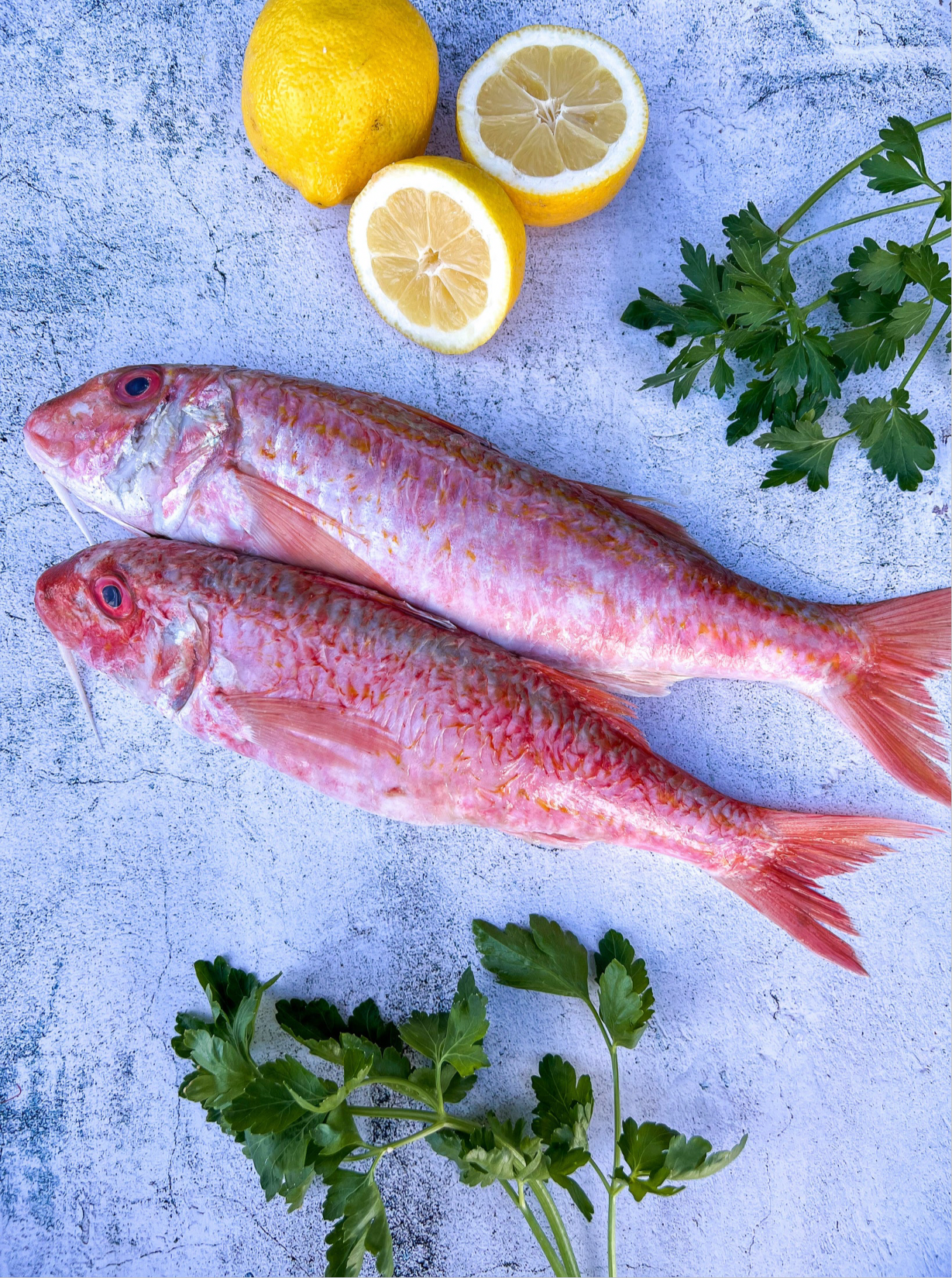 Cornish Red Mullet Fillets