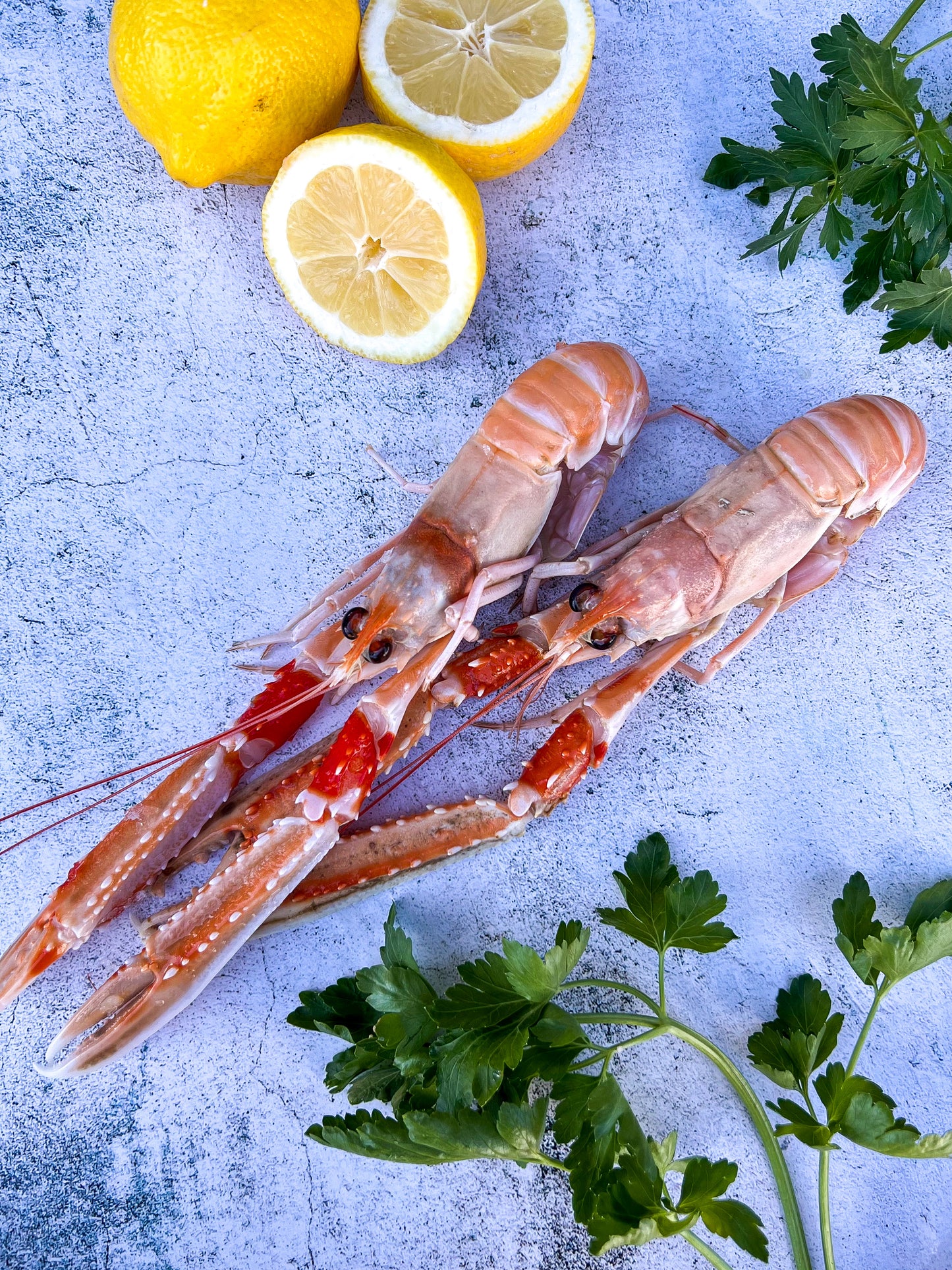 Fresh Langoustine