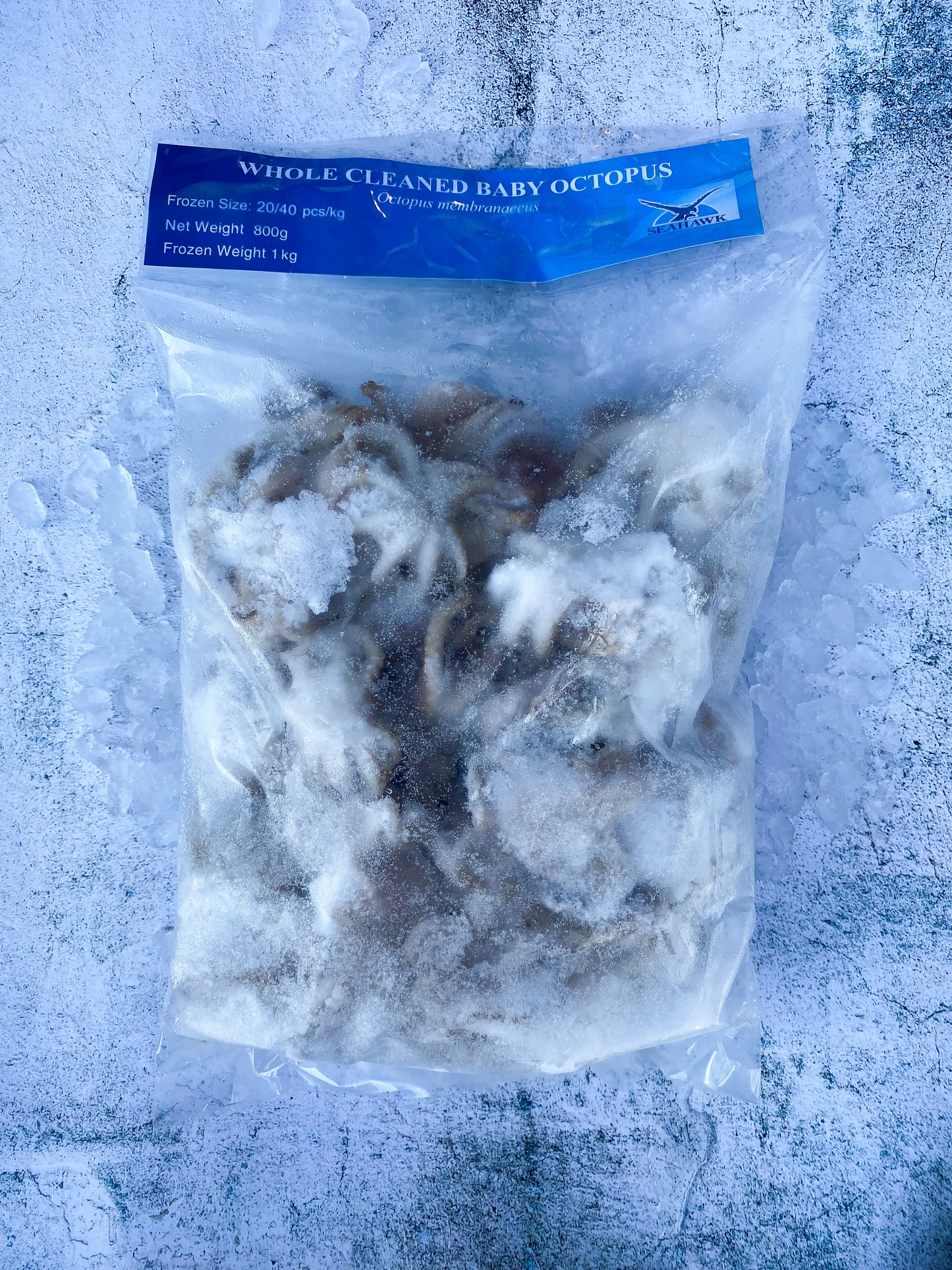 Frozen Baby Octopus