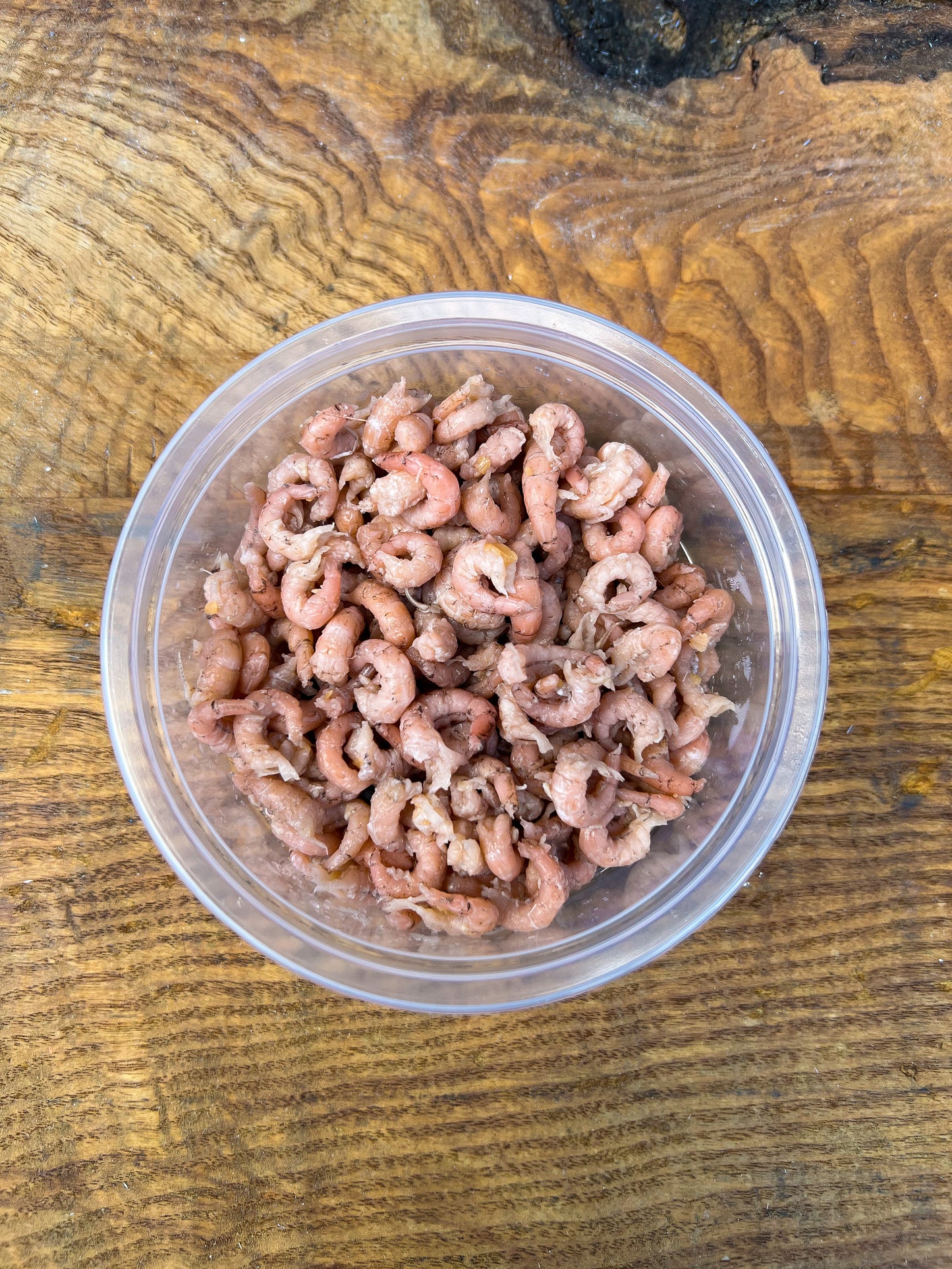 Brown Shrimp 100g