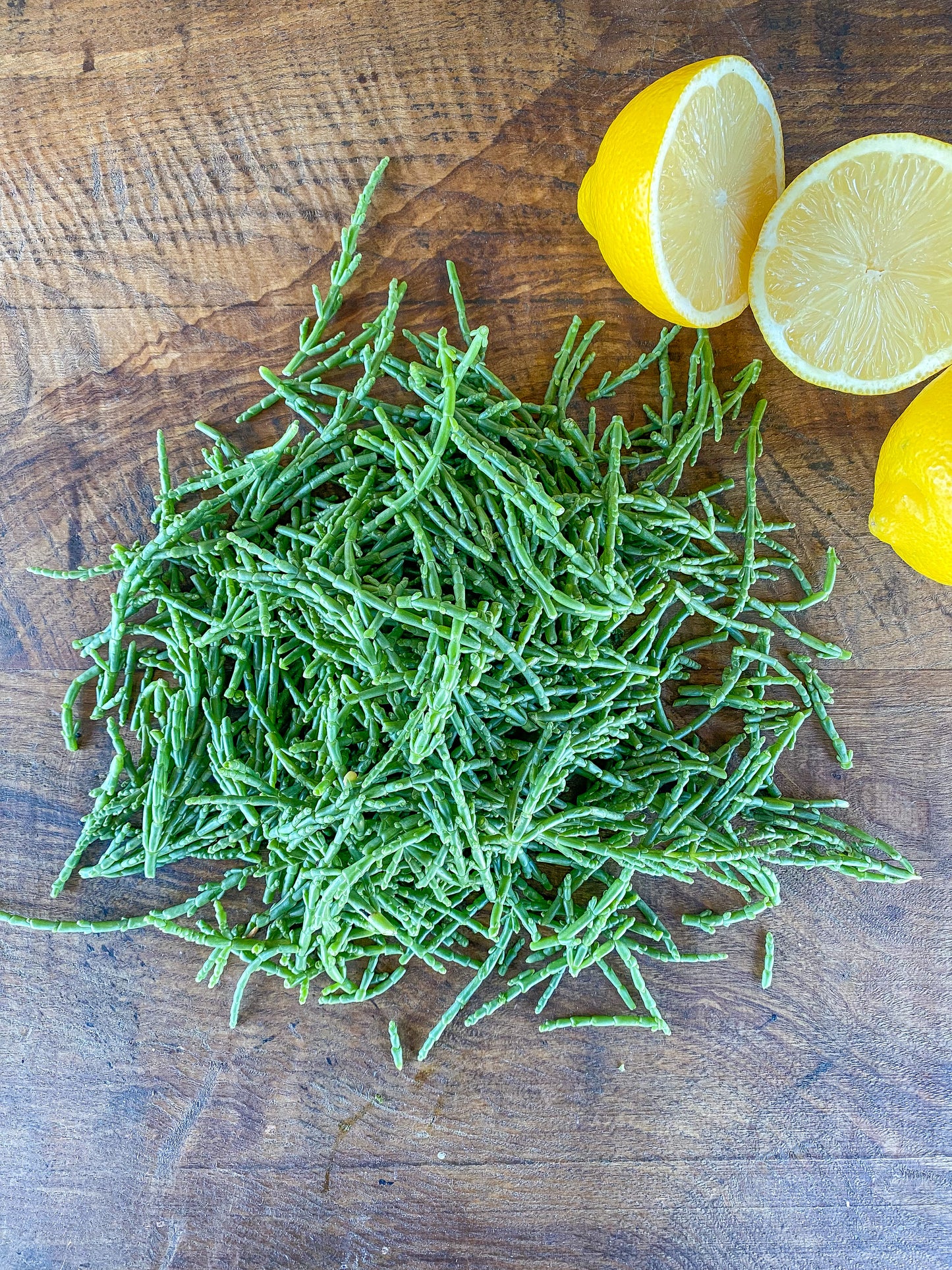 Samphire