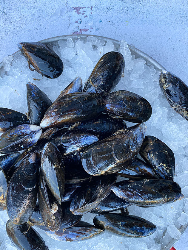 Shetland Isle Mussels