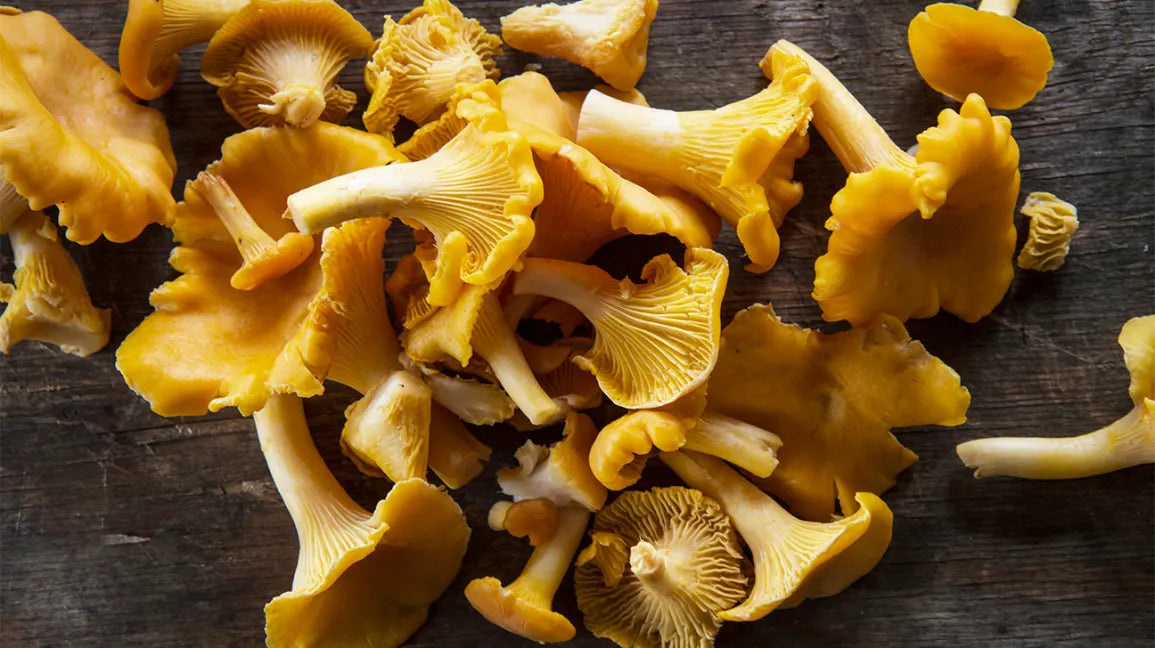Grey & Yellow Chanterelles/ Pied du Mouton Mushrooms