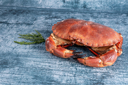 Whole Cornish Crab