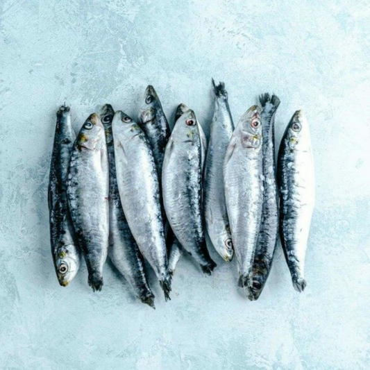 Cornish Sardines