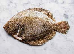 Whole Cornish Brill