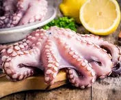 Large Octopus
