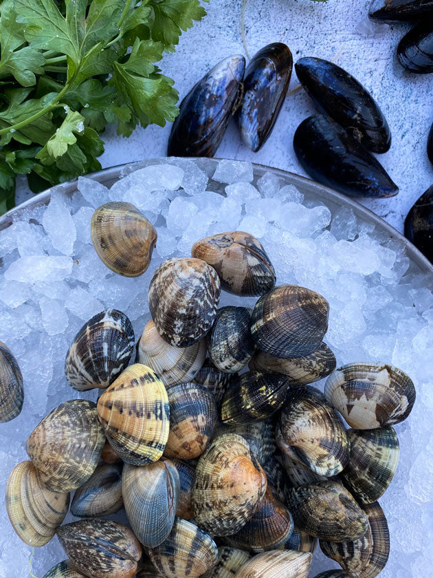 Dorset Palourde Clams Fresh Fish & Seafood Delivery Jarvis