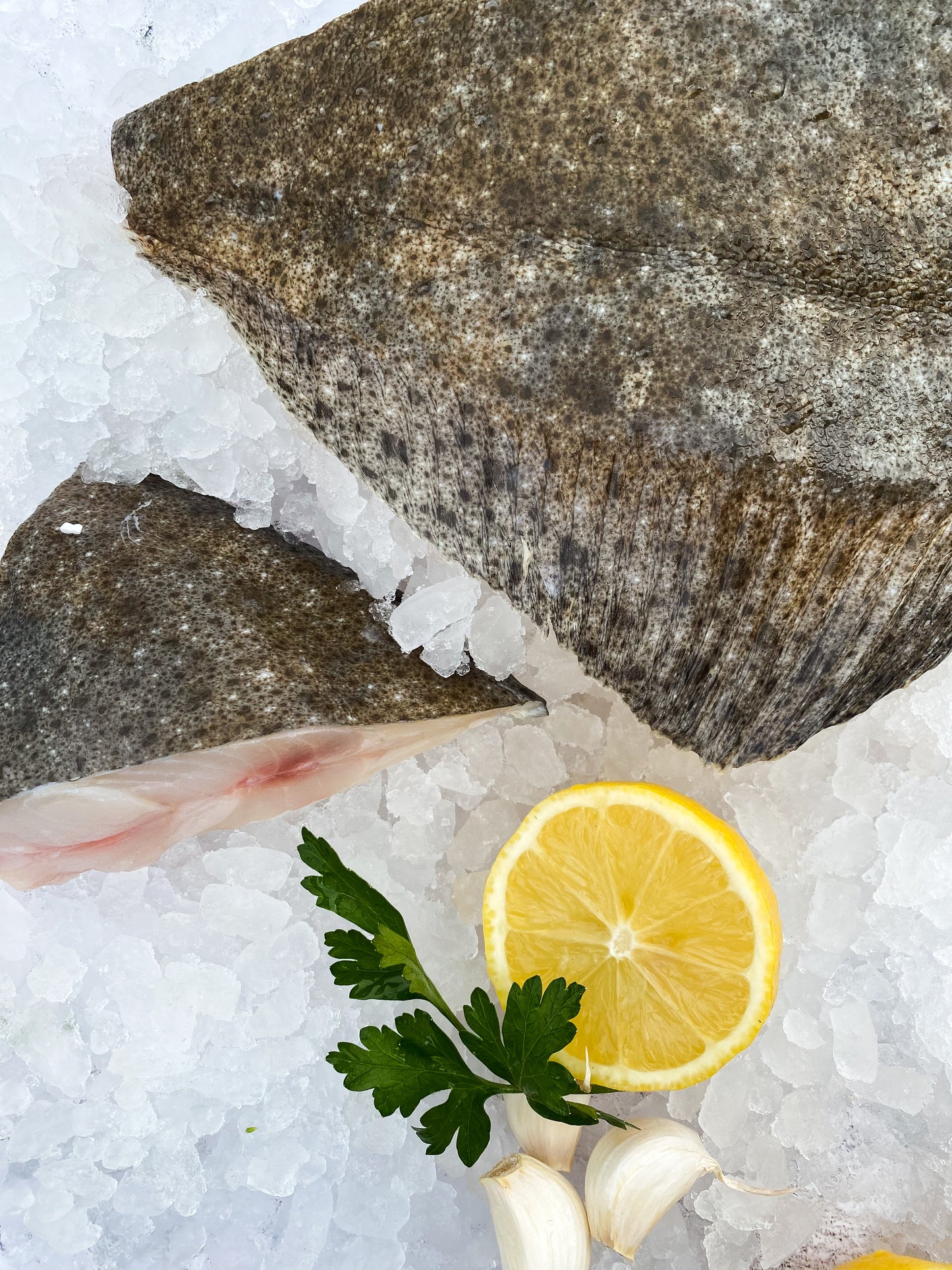 Whole Cornish Turbot