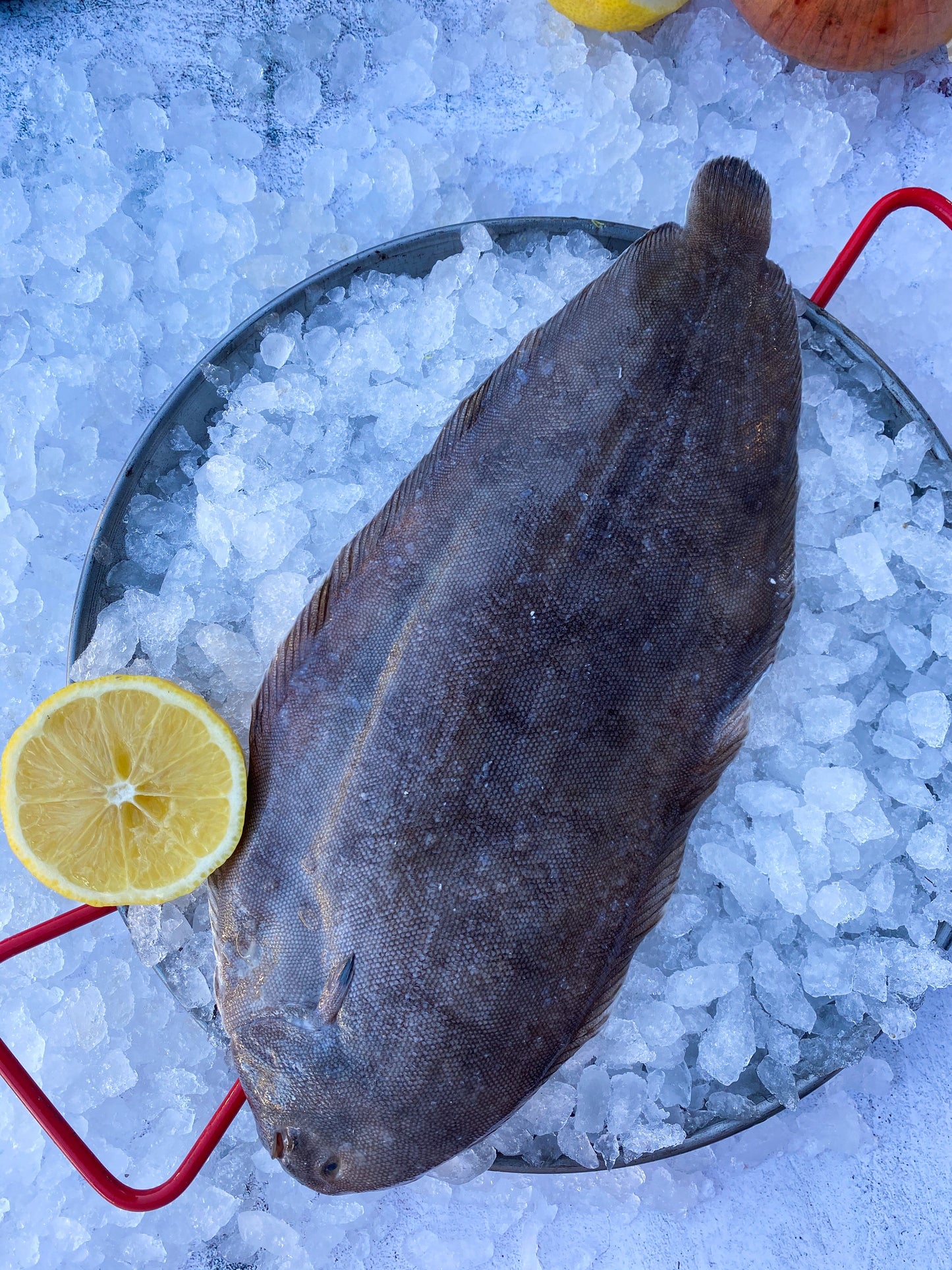 Whole Dover Sole