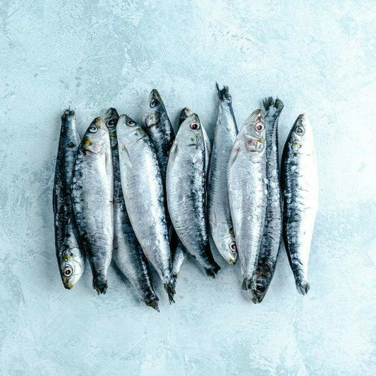 Cornish Sardines Fillets