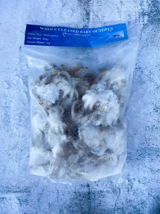 Frozen Baby Octopus