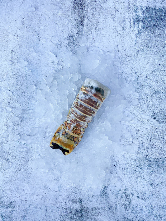 Frozen Lobster Tail