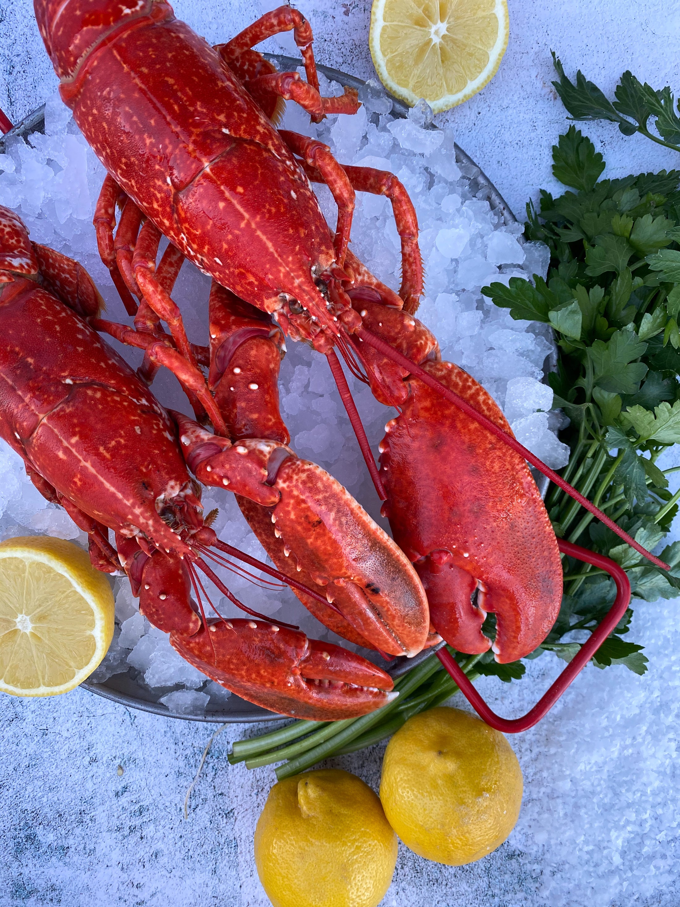 Whole Cornish Lobsters – Jarvis Fresh Fish