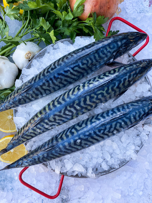 Whole Mackerel