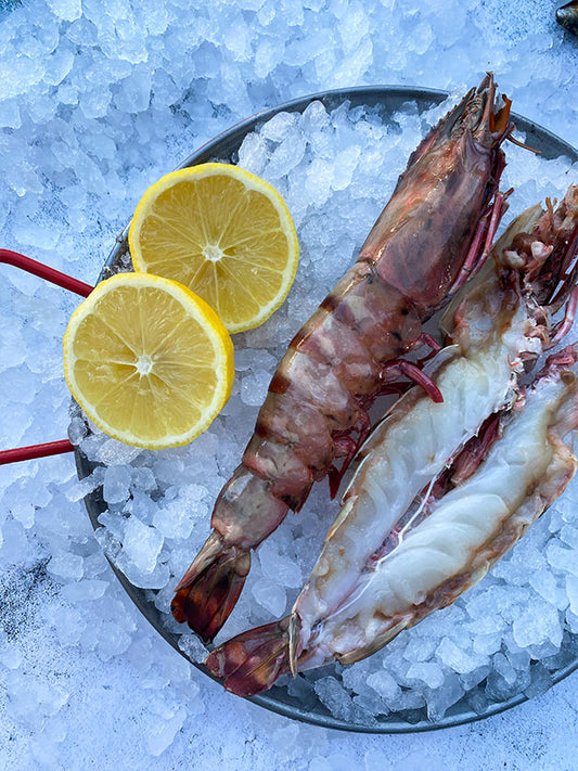 Wild Madagascan Tiger Prawns