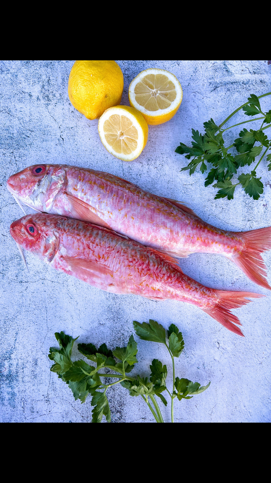 Cornish Red Mullet -300g
